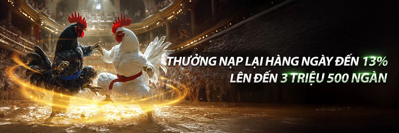 Đá Gà Trực Tuyến Sôi Động tại LV88 Chính Thức